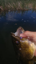 Load image into Gallery viewer, BaitBling - Fishing Attractant
